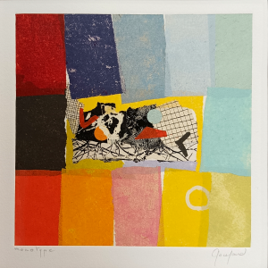 Monotype N°14 / Anne Goujaud
